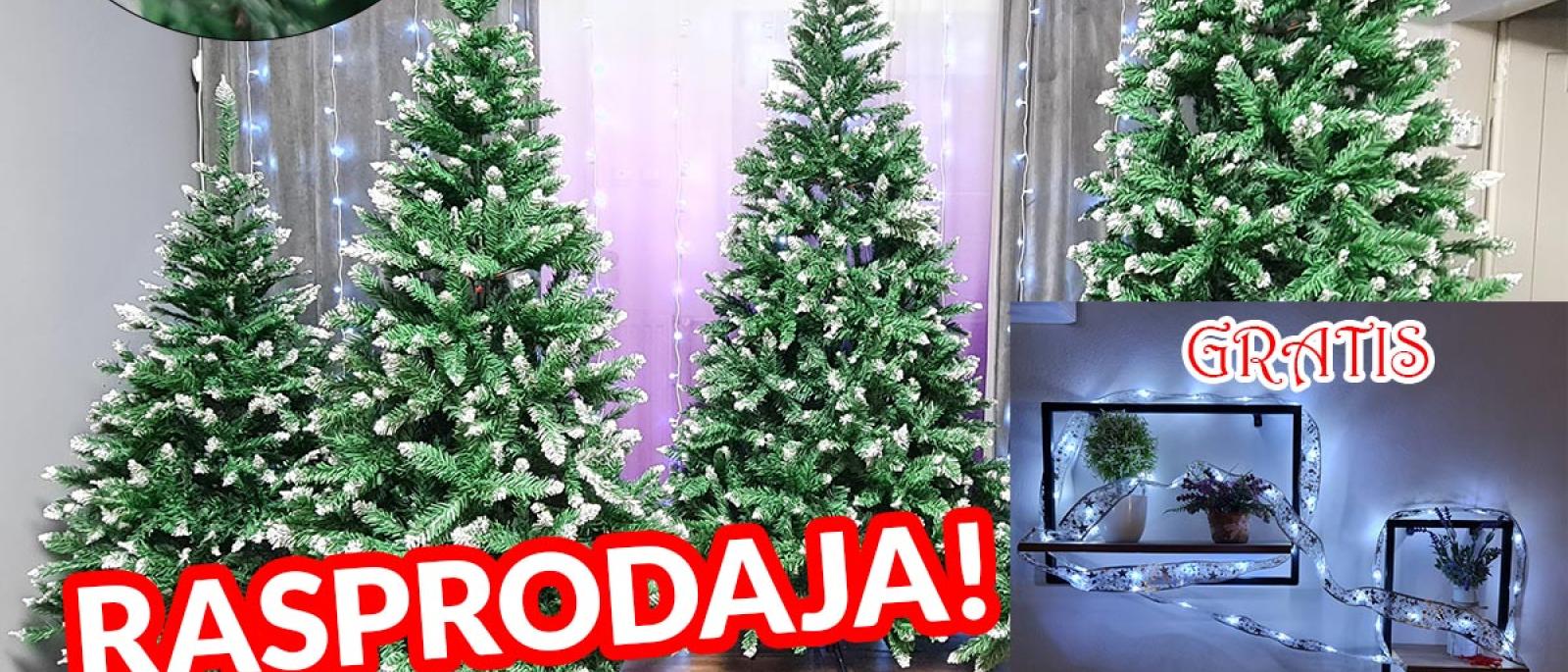 1200 x 1200 skupna 2025a