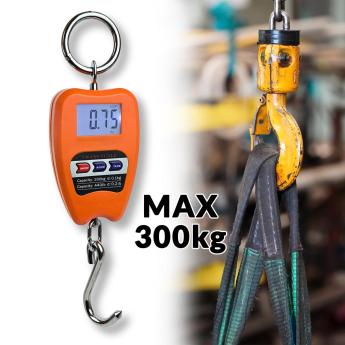 Kranska Vaga 300 kg G347 Front 1